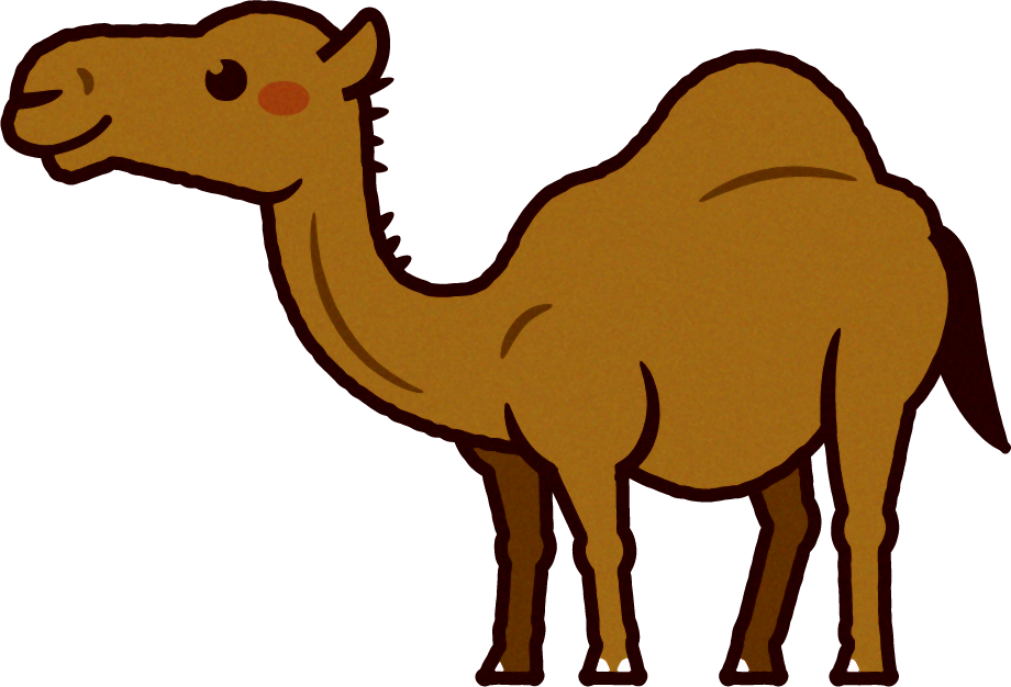 ラクダのイラスト/Camel
