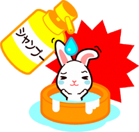 ウサギのイラスト/シャンプーで水洗い