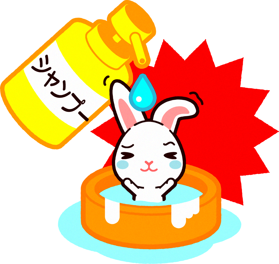 ウサギのイラスト/シャンプーで水洗い