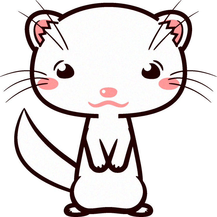 フェレットのイラスト/白