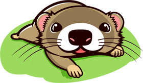 見つめるフェレットのイラスト
