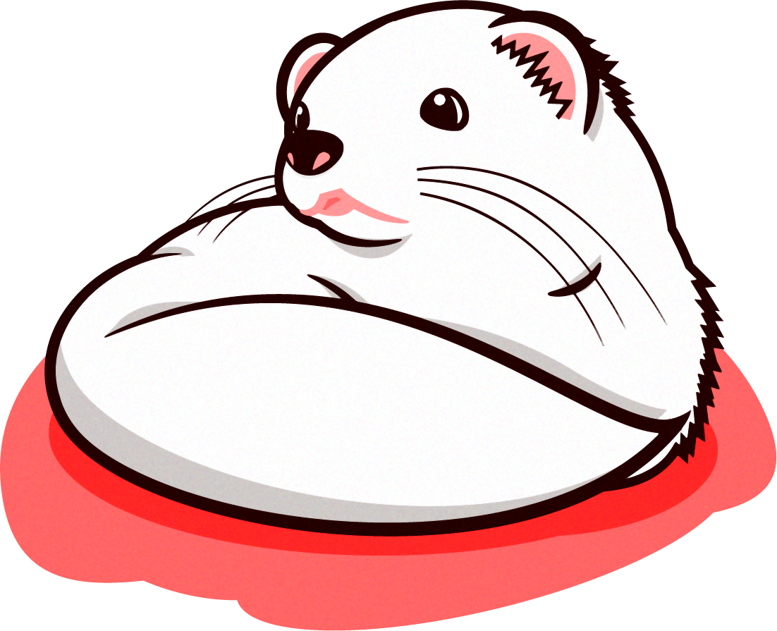 丸まっているフェレットのイラスト/白