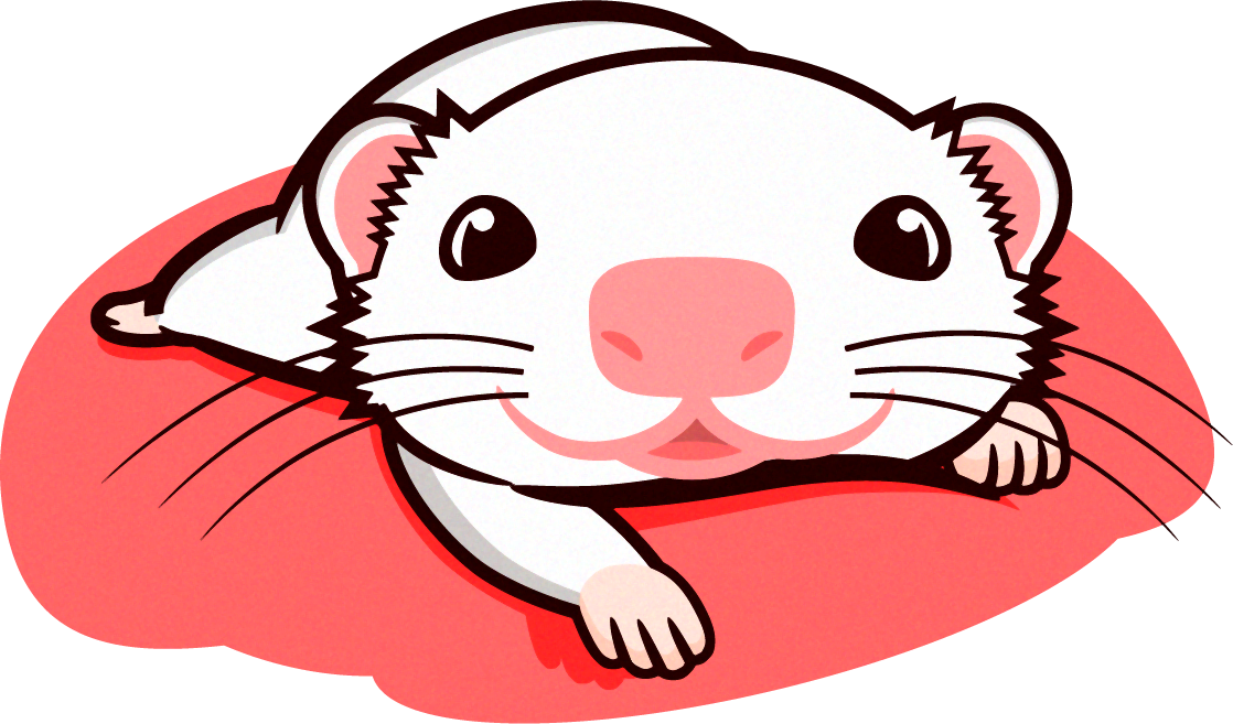 見つめるフェレットのイラスト/白