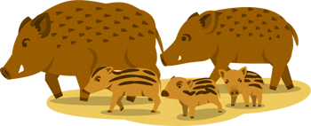 猪の親子イラスト