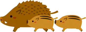 親子の猪イラスト/横向き族