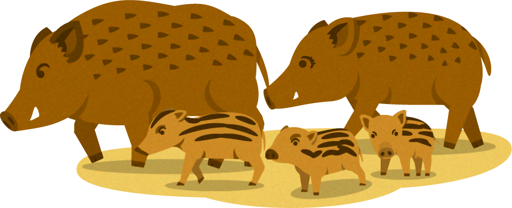 猪の親子イラスト