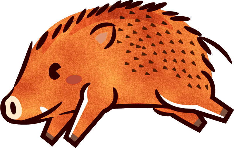 駆ける猪イラスト