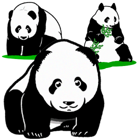パンダのイラスト