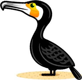 カワウのイラスト