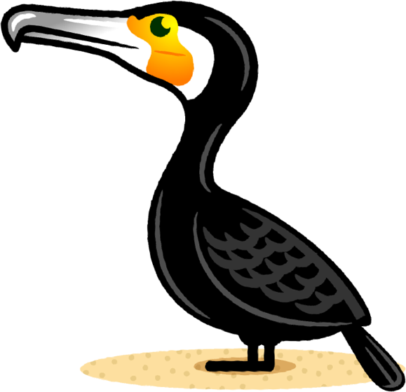 カワウのイラスト