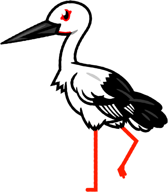 コウノトリのイラスト