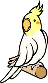 セキセイインコのイラスト