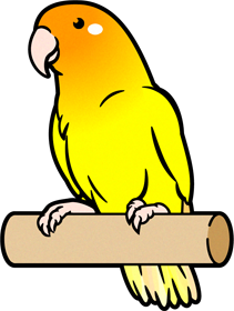 セキセイインコのイラスト/黄色