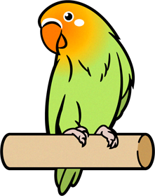 セキセイインコのイラスト/首をかしげる