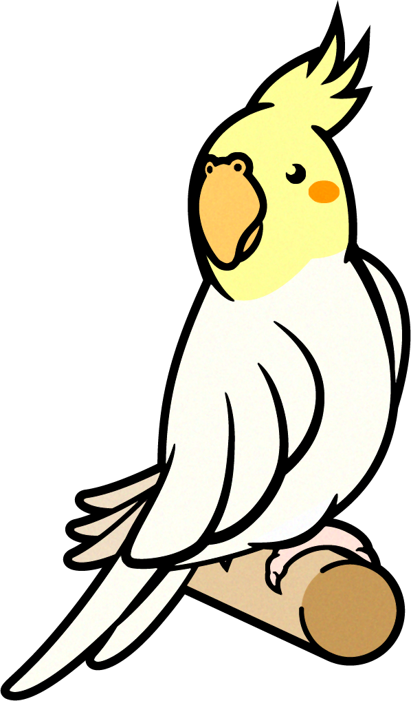 セキセイインコのイラスト