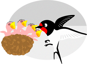 雛に食べ物を運ぶツバメのイラスト