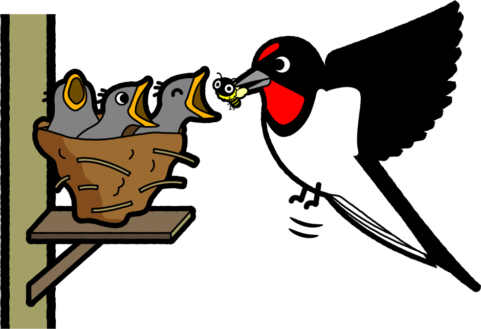 雛に食べ物を運ぶ燕のイラスト