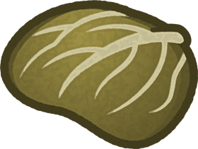 変色したキャベツの葉イラスト