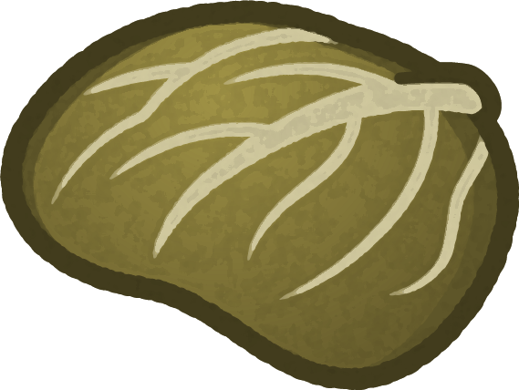 変色したキャベツの葉イラスト