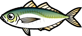 マアジのイラスト