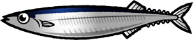 サンマのイラスト