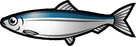 ニシンのイラスト