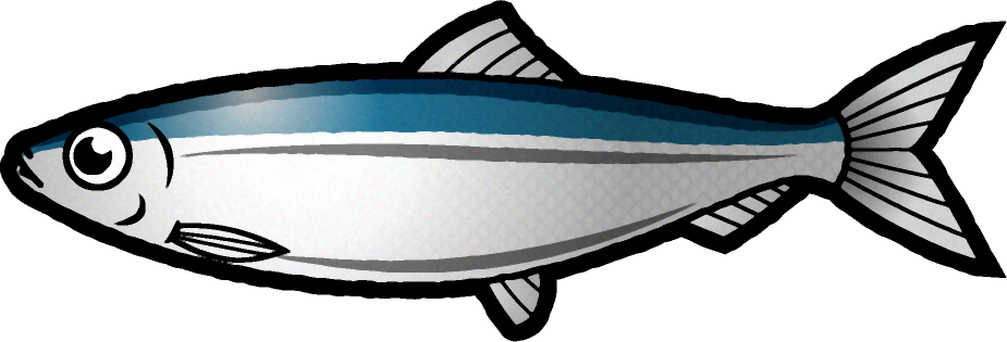ニシンのイラスト