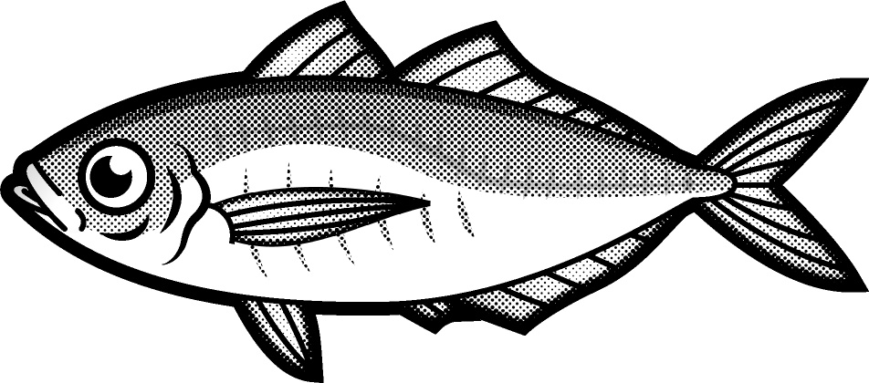 マアジのイラスト/モノクロ