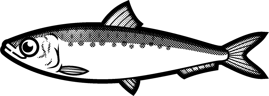 マイワシのイラスト/モノクロ