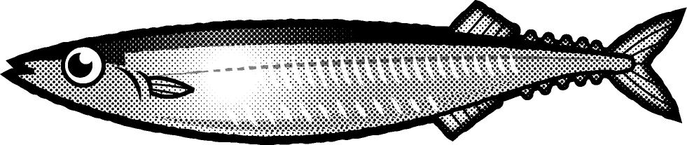 サンマのイラスト/モノクロ