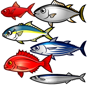 海の生き物イラスト