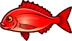 マダイのイラスト