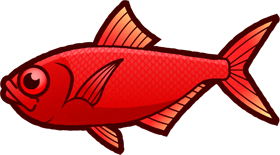 キンメダイのイラスト