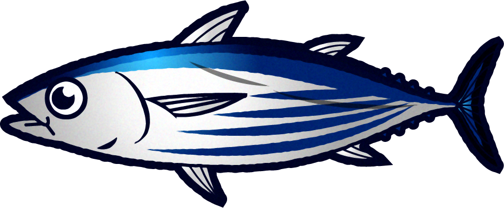 カツオのイラスト