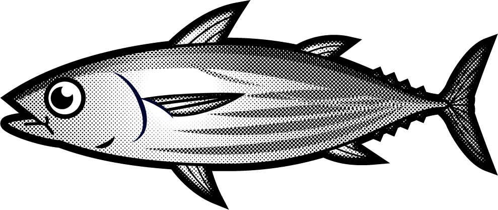 カツオのイラスト/モノクロ