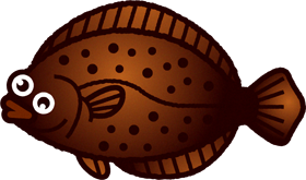 ヒラメのイラスト