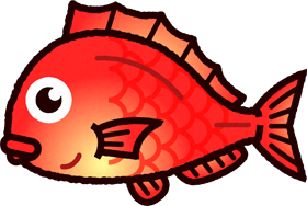鯛のイラスト