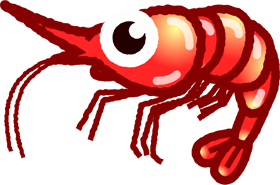 甘エビのイラスト
