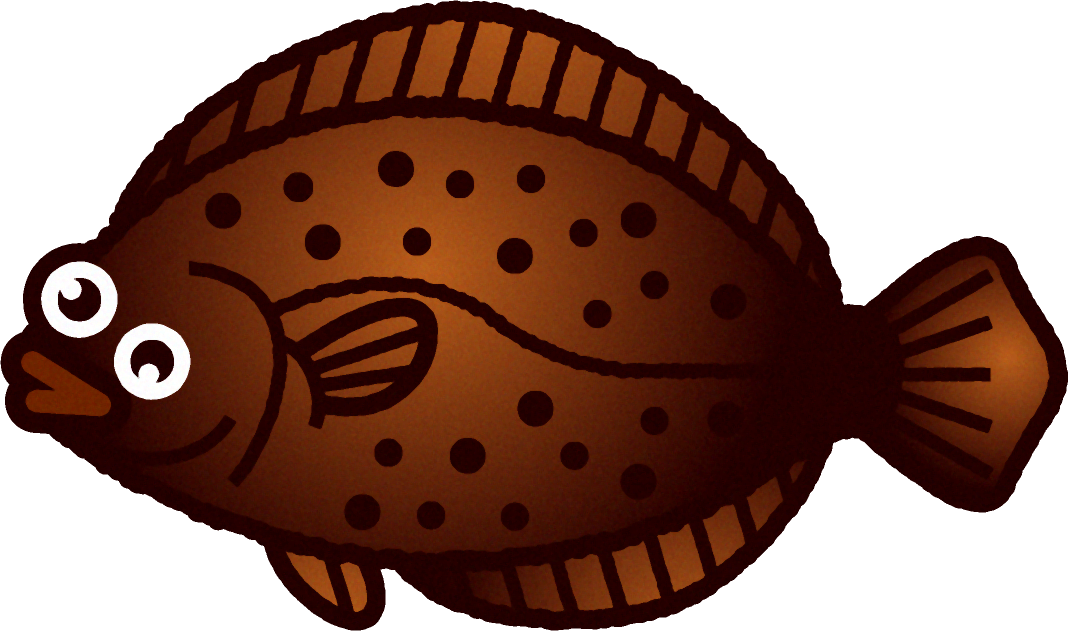 ヒラメのイラスト