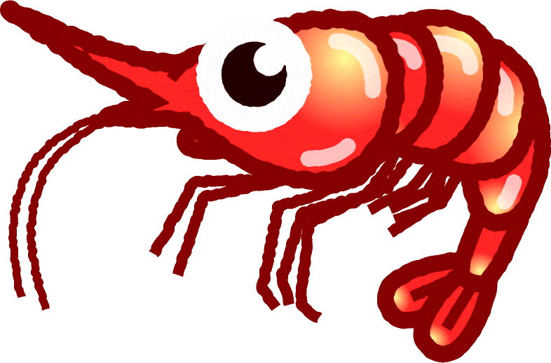 甘エビのイラスト