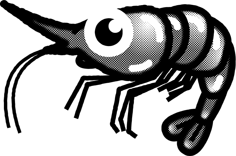 甘エビのイラスト/モノクロ