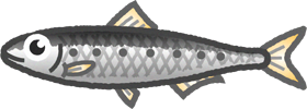 イワシのイラスト