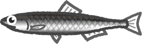 カタクチイワシのイラスト