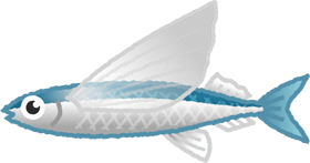 トビウオのイラスト