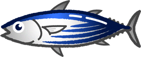 カツオのイラスト