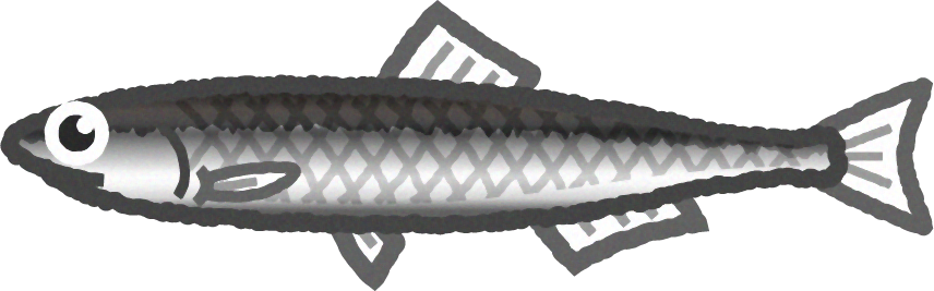 カタクチイワシのイラスト