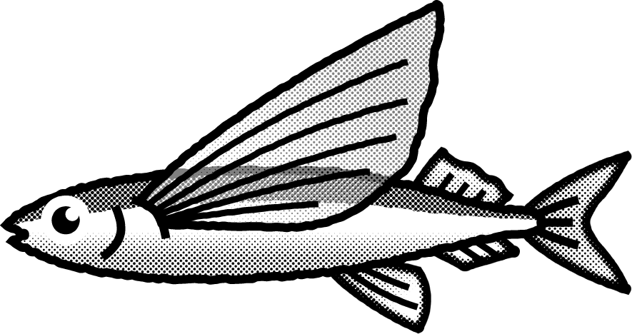 トビウオのイラスト/モノクロ