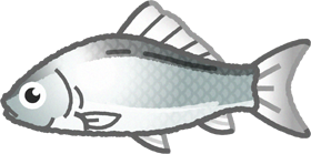 ギンブナのイラスト