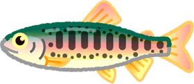 ヤマメのイラスト