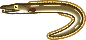 ハモのイラスト